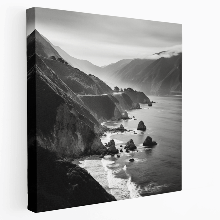 Big Sur Sahil Siyah Beyaz Kanvas Tablo