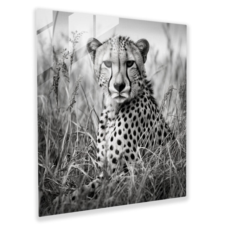 Cheetah Cam Tablo Sanatı - Modern Sanat Vahşi Kedi Tasarımı