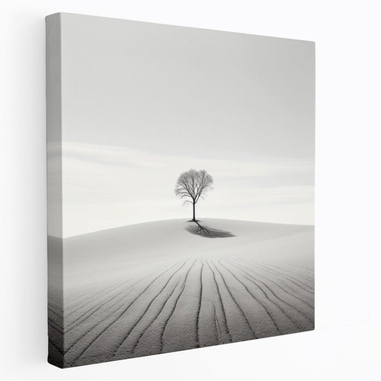 Doğal Minimalist Duvar Sanatı - Nötr Kanvas Siyah Beyaz Fotoğraf Duvar Dekorasyonu