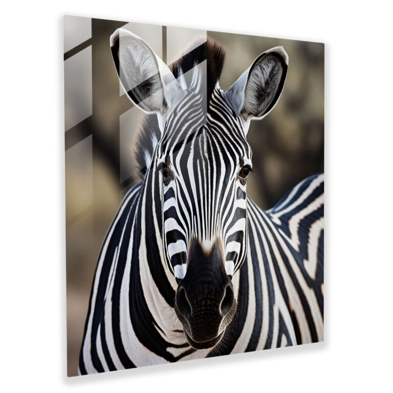Doğanın Çizgileri Cam Tablo - Zebra Modern Sanat Duvar Dekorasyonu Ev Dekorasyonu
