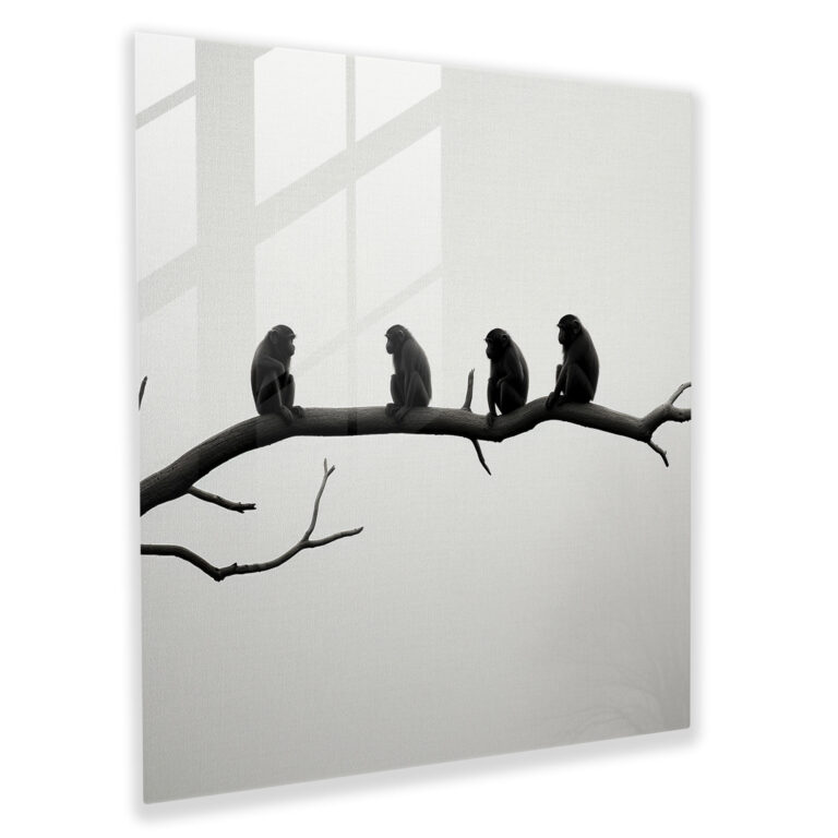 3 Monkey Glass Print - 3 Monkey, Glass Art, Glass Wall Art, 3 Monkey