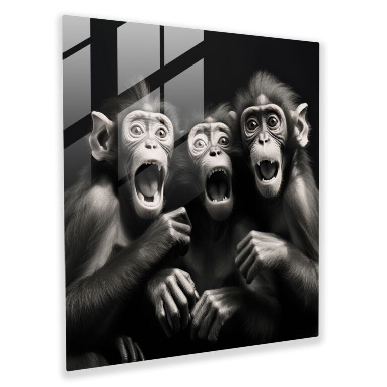 3 Monkey Glass Print Artwork - 3 Monkey, Glass Print, Black And White, Home Decoration