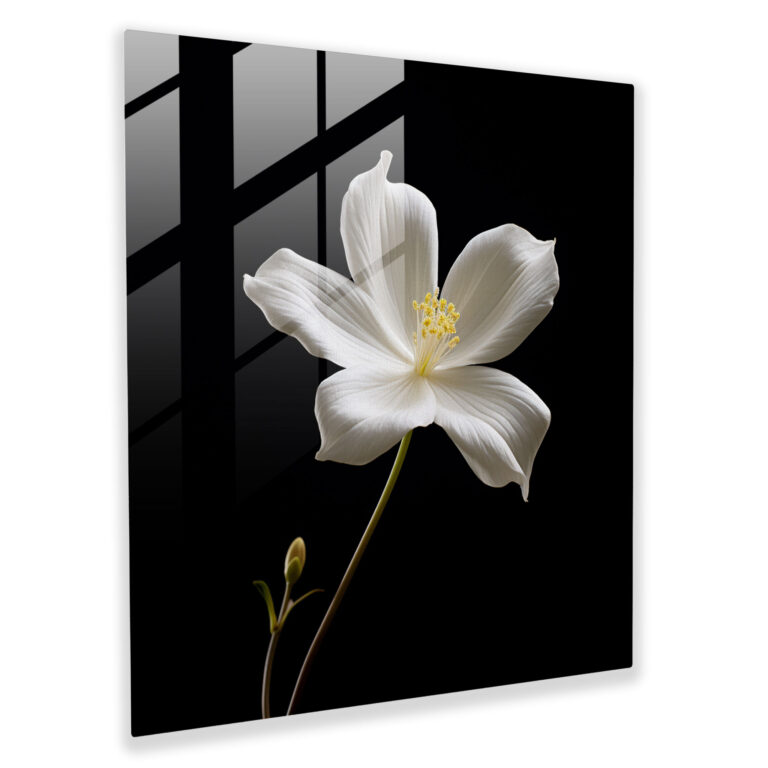 Minimalist White Flower Photography Glass Print