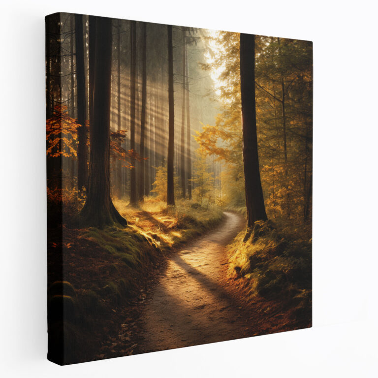 Sunlit Autumn Path Canvas Print - Autumn, Wall Art, Canvas, Wall Decoration