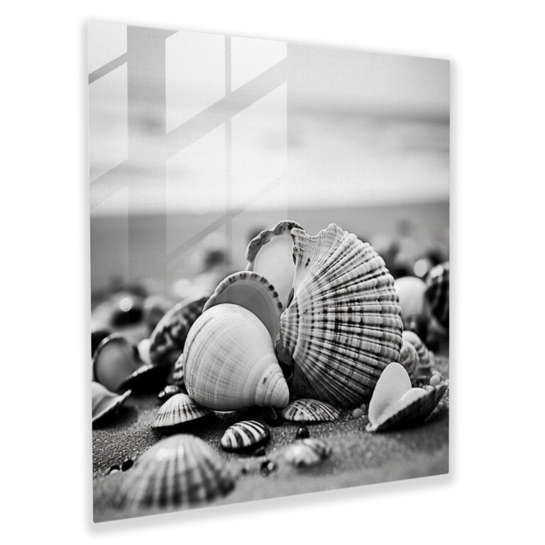 Seashells On Beach Glass Print - Beach, Texture, Glass Art, Nature