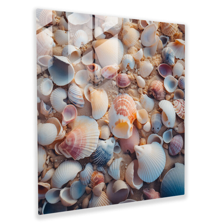 Seashell Beach Glass Print - Beach, Glass Print, Glass Wall Art, Wall Decoration