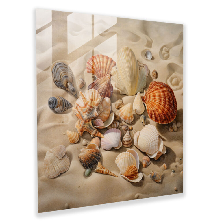 Seashell Collection Glass Print - Beach, Wall Decoration, Beach, Natural Beauty