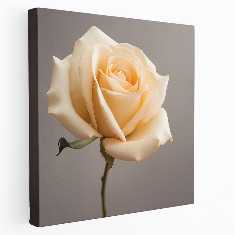 Beige Rose Canvas Print - Beige, Close-Up Photograph, Canvas Wall Art, Home Decoration