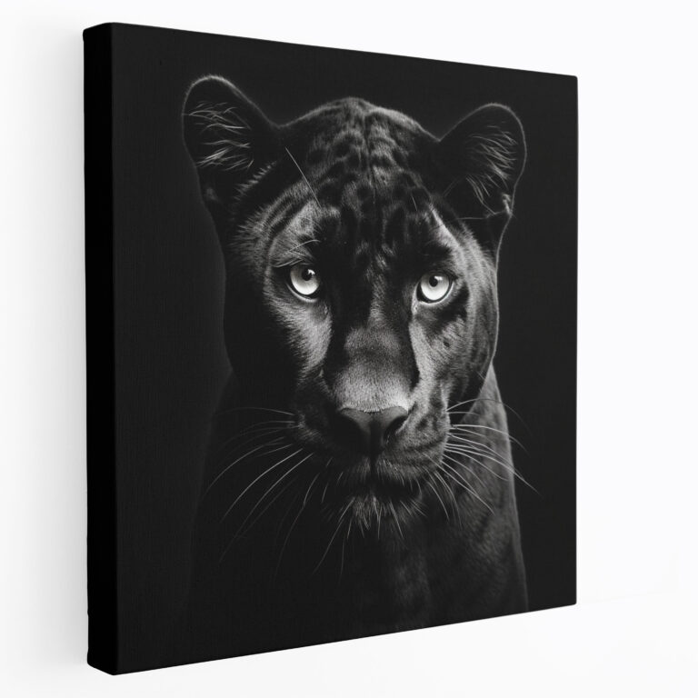 Black Panther Canvas Print - Black Panther, Grace, Beauty, Canvas
