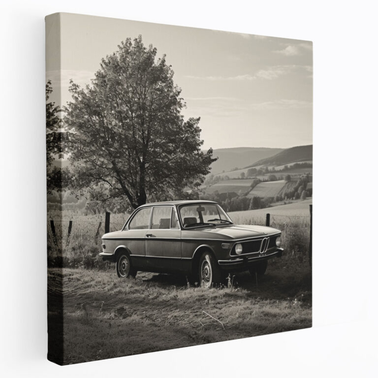 Vintage Bmw Canvas Print - Bmw, Canvas, Picturesque Countryside, Canvas Print