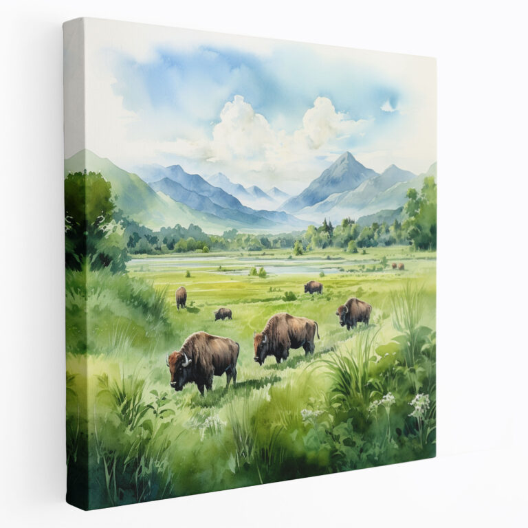 Buffalo Canvas Print - Playful Watercolor Painting Wall Art - Buffalo, Canvas Print, Buffalo, Canvas Wall Art