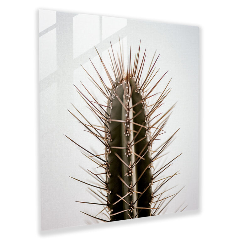 Spiky Silhouette Cactus Glass Print - Cactus, Glass Print, Home Decoration, Modernity