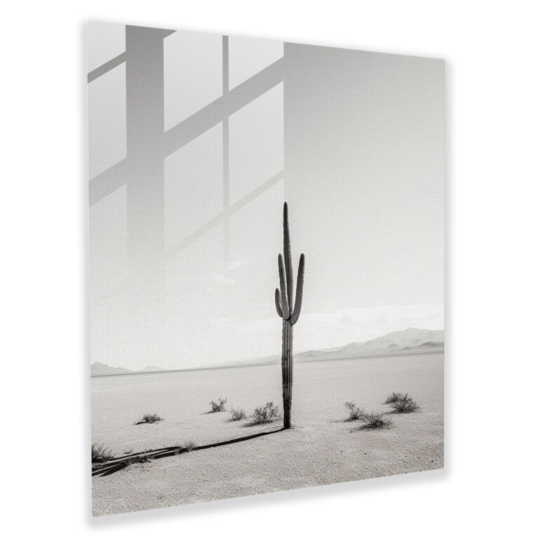 Cactus Landscape Black And White Glass Print - Cactus, Home Decoration, Cactus, Glass Wall Art