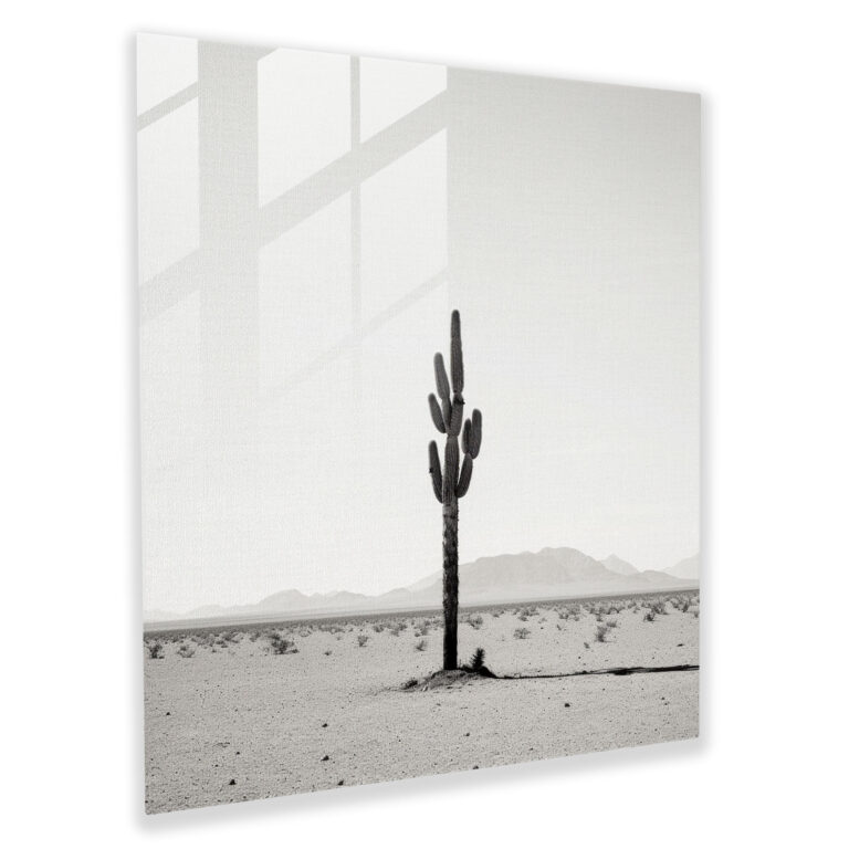 Solitary Cactus Glass Print - Cactus, Desert Landscape, Glass Wall Art, Wall Decoration