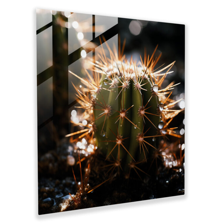 Prickly Beauty Glass Print - Cactus, Contemporary Photography, Glass Art, Glass Wall Art