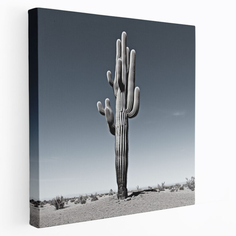 Cactus Canvas Print - Modern Black And White Wall Art - Cactus, Wall Art, Home Decoration, Solitary Cactus