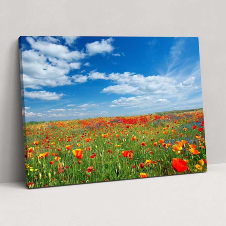 Claude Monet Poppy Field Canvas Print - Claude Monet, Wall Art, Canvas Print, Home Decoration