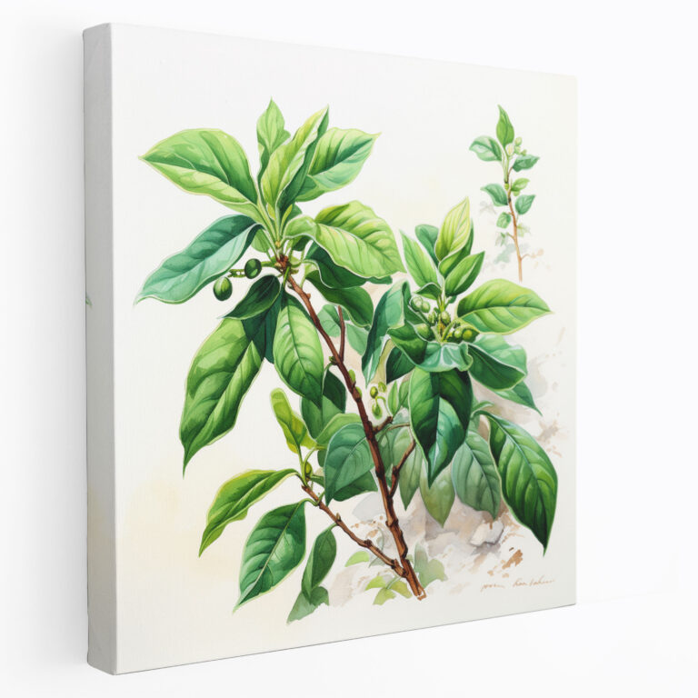 Coffee Plant Watercolor Canvas Print - Coffee, Home Decoration, Canvas, Watercolor Coffee Painting