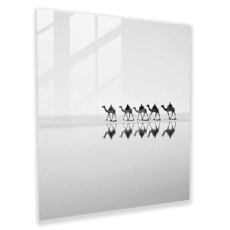 Desert Caravan Glass Print - Caravan, Solitude, Home Decoration, Glass Art