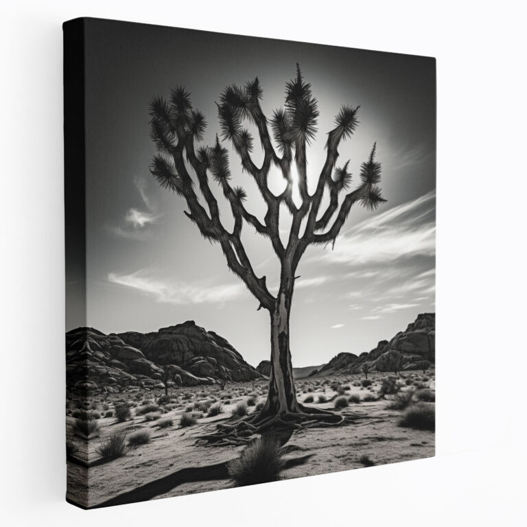 Graceful Joshua Tree Canvas Print - Desert, Fine Art Photography, Canvas, Desert