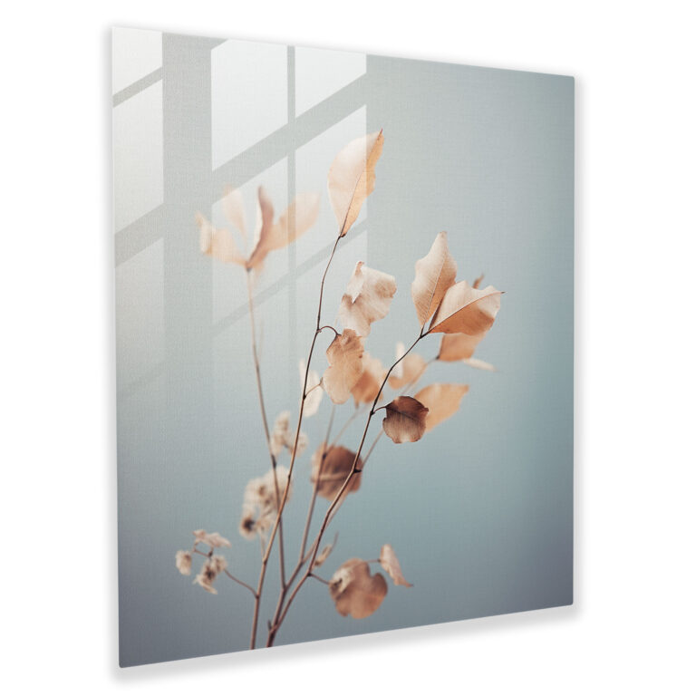 Dry Flower Glass Print - Eucalyptus - Dry Flower, Glass Print, Serene, Eucalyptus
