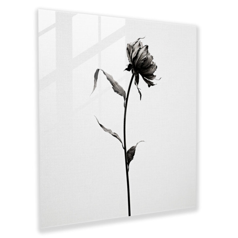 Dry Flower Glass Print - Dry Flower, Modern Art, Sophisticated, Glass Art