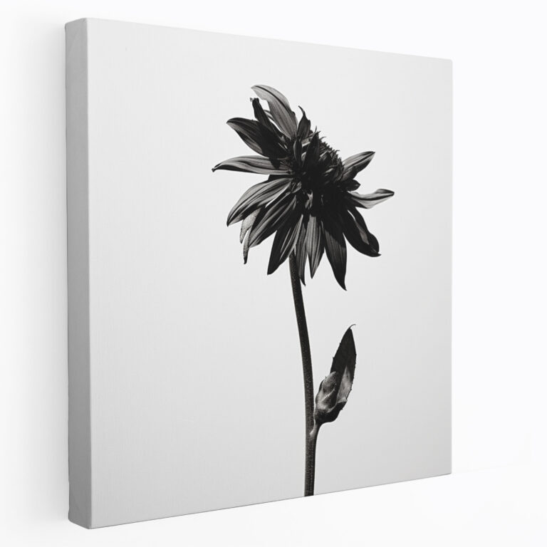Dry Flower Black And White Canvas Print - Dry Flower, Canvas Wall Art, Canvas, Canvas Print