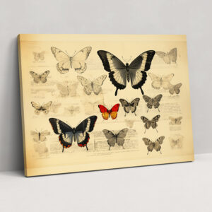 Vintage Butterfly Canvas Print - Dried Butterflies, Canvas, Canvas Wall Art, Wall Art
