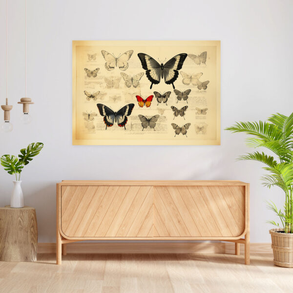 Vintage Butterfly Canvas Print - Dried Butterflies, Canvas, Canvas Wall Art, Wall Art - Image 2