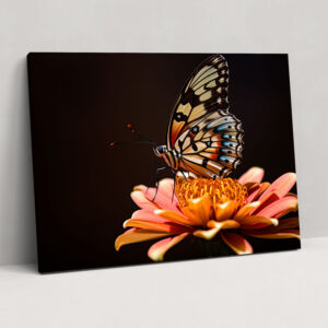 Butterflies Fine Art Canvas Print - Dried Butterflies, Fine Art Photography, Canvas, Close-Up