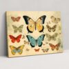 Vintage Butterflies Wall Decoration - Dried Butterflies, Butterfly Illustrations, Canvas, Antique Effect