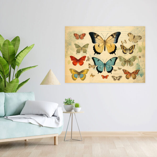 Vintage Butterflies Wall Decoration - Dried Butterflies, Butterfly Illustrations, Canvas, Antique Effect - Image 2