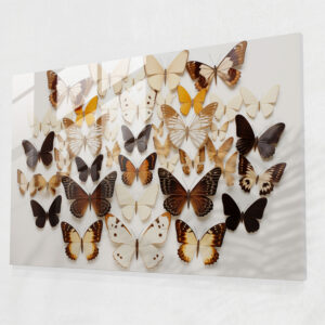 Butterfly-Shaped Dried Butterflies Glass Print - Dried Butterflies, Modern Art, Home Decoration, Natural Elegance
