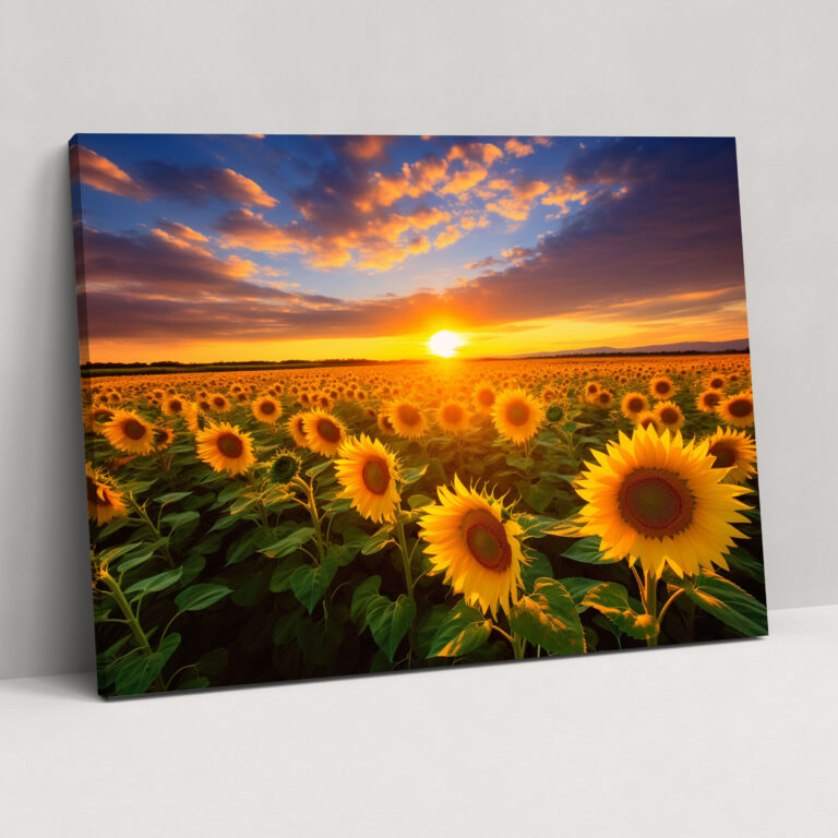 Sunflower Fields Canvas Print - Earth, Home Decoration, Wall Art, Golden Sunlight