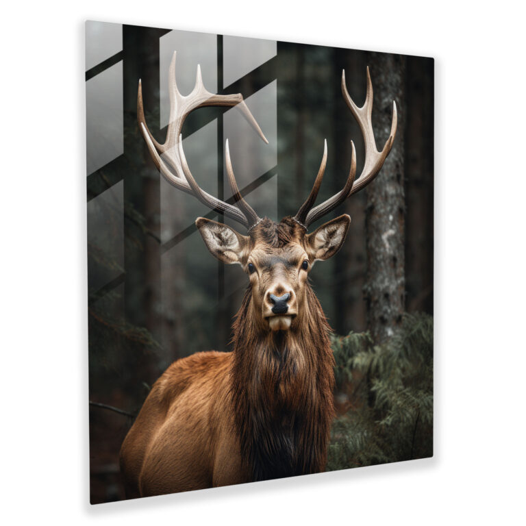 Glass Print: Majestic Antlers - Elk, Photograph, Glass Wall Art, Home Decoration
