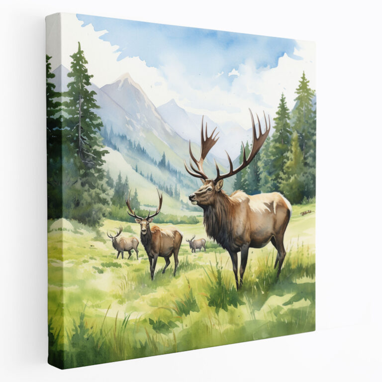 Elk Wall Art - Meadow Grazing - Elk, Canvas Wall Art, Meadow Grazing, Wall Art