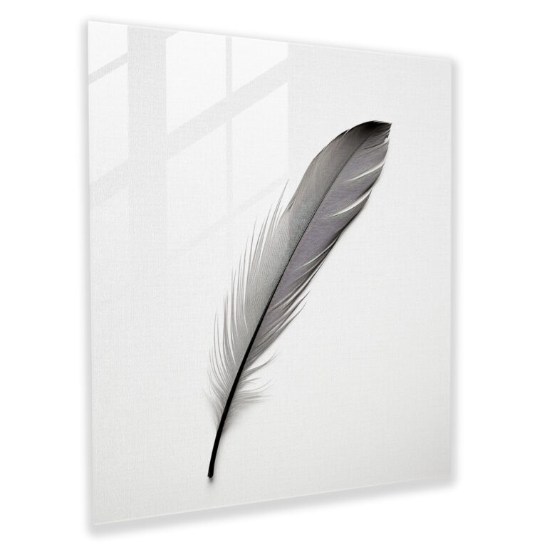 Feather Serenity Glass Print - Feather, Wall Decoration, Glass Art, Black And White Photograph