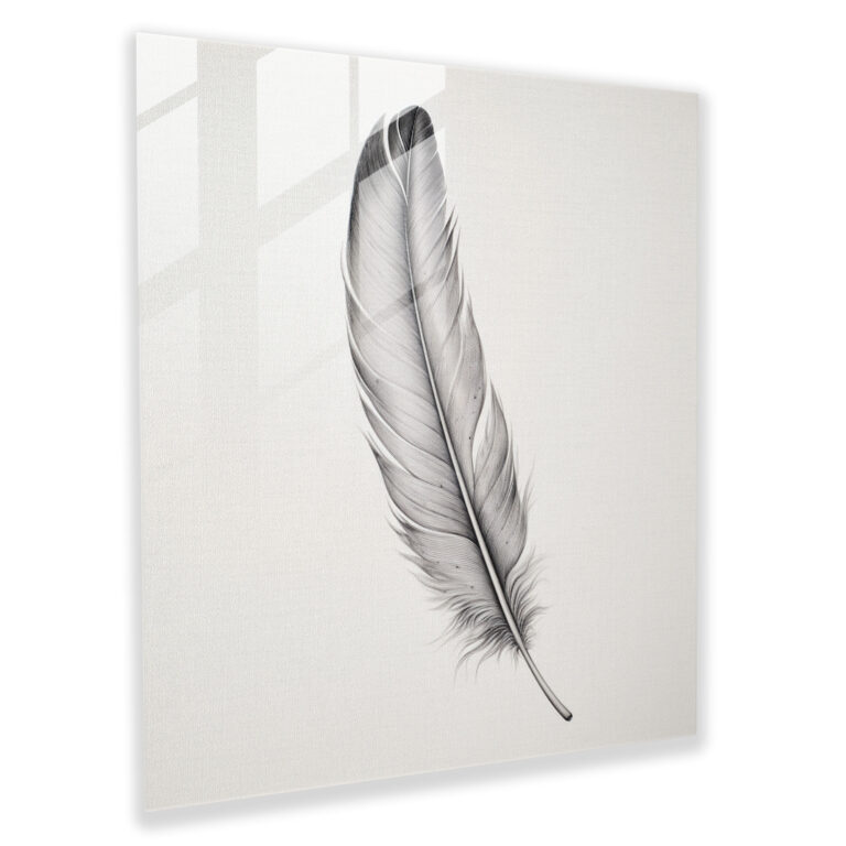 Elegant Feathers Glass Print - Feather, Home Decoration, Feather, Glass Wall Art