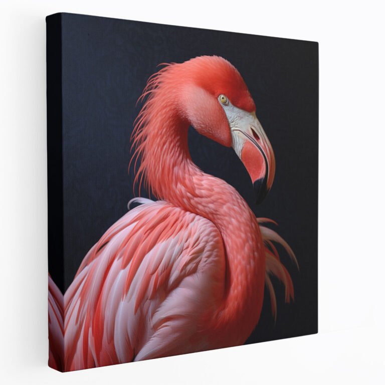 Flamingo Canvas Print - Flamingo, Wall Art, Canvas, Beauty Of Nature