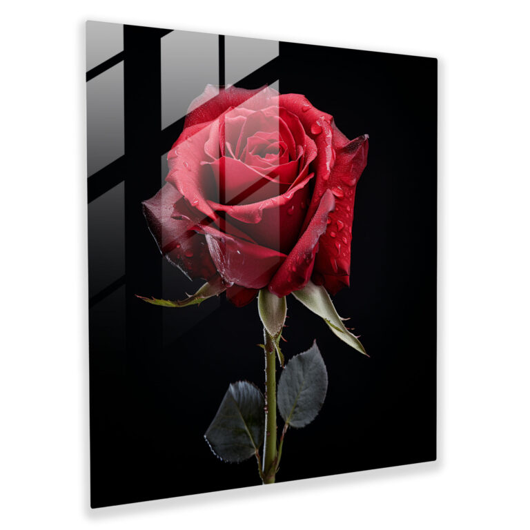 Sleek Contemporary Red Rose Glass Print