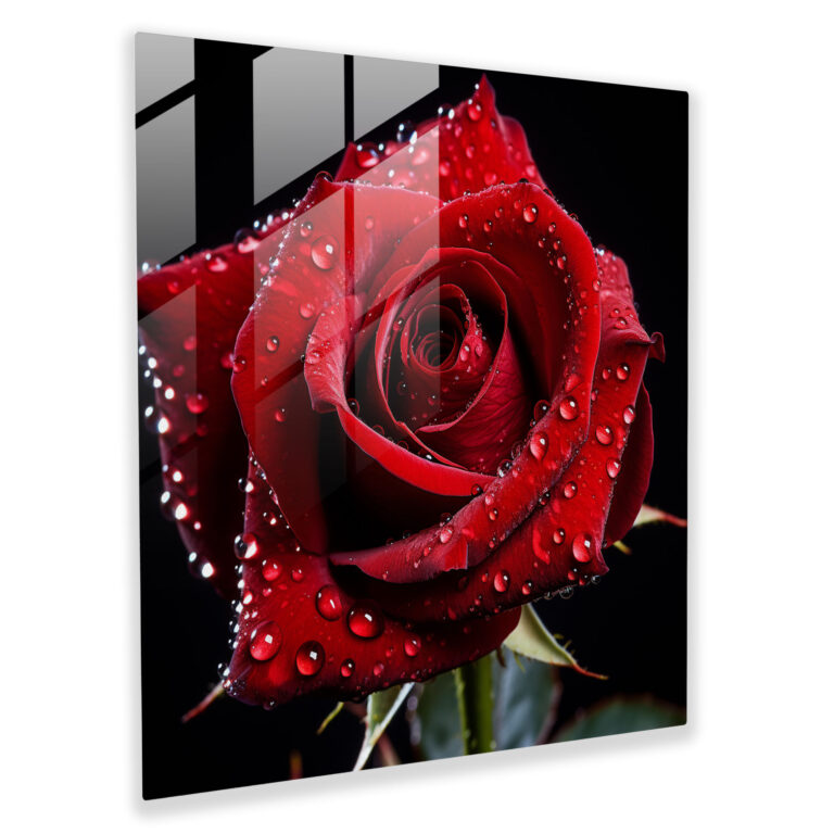 Intricate Rose with Dewdrops Glass Print - Striking Wall Art Decoration