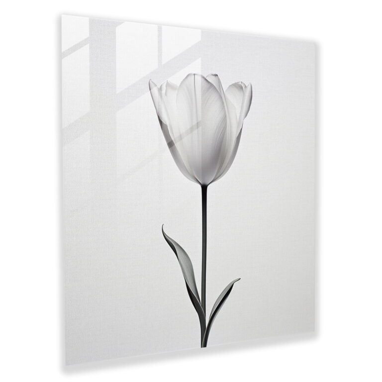 Minimalistic Glass Print of Blooming Tulip for Modern Home Decor