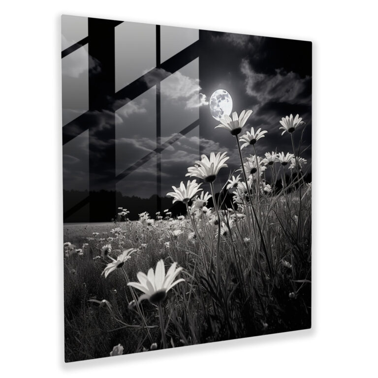 Moonlit Meadows Glass Print - Classic Black and White Photography Glass Wall Art - Modern Artwork