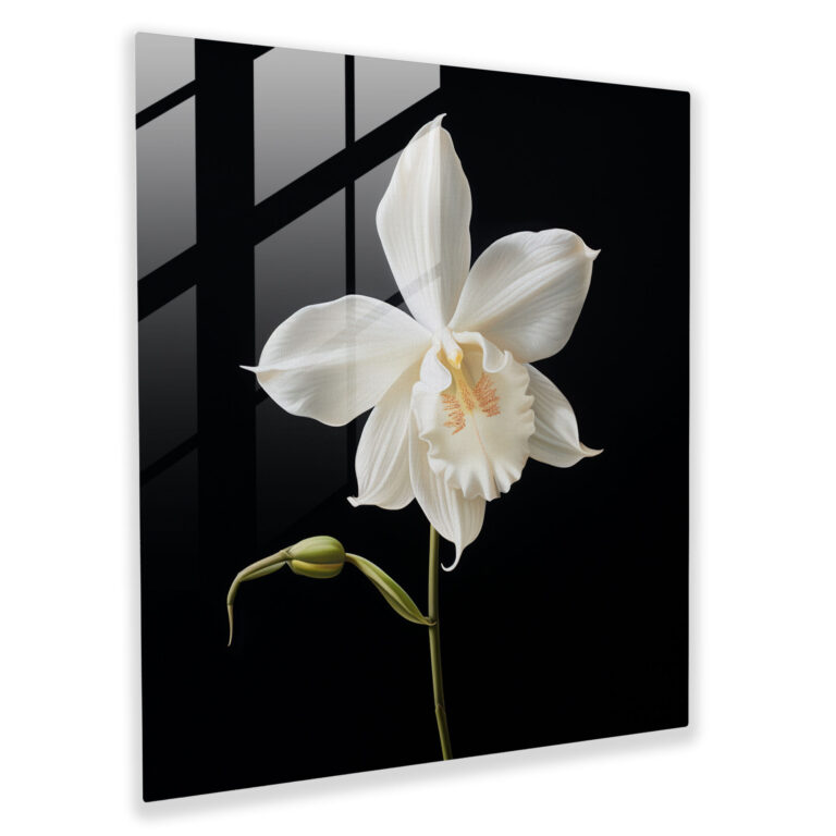 Striking Minimalist Glass Print - Single White Orchid on Black Background - Glass Wall Art - Home Decoration - Wall Decoration - Glass Art - Modern Artwork