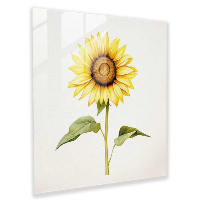 Elegant Sunflower Glass Print