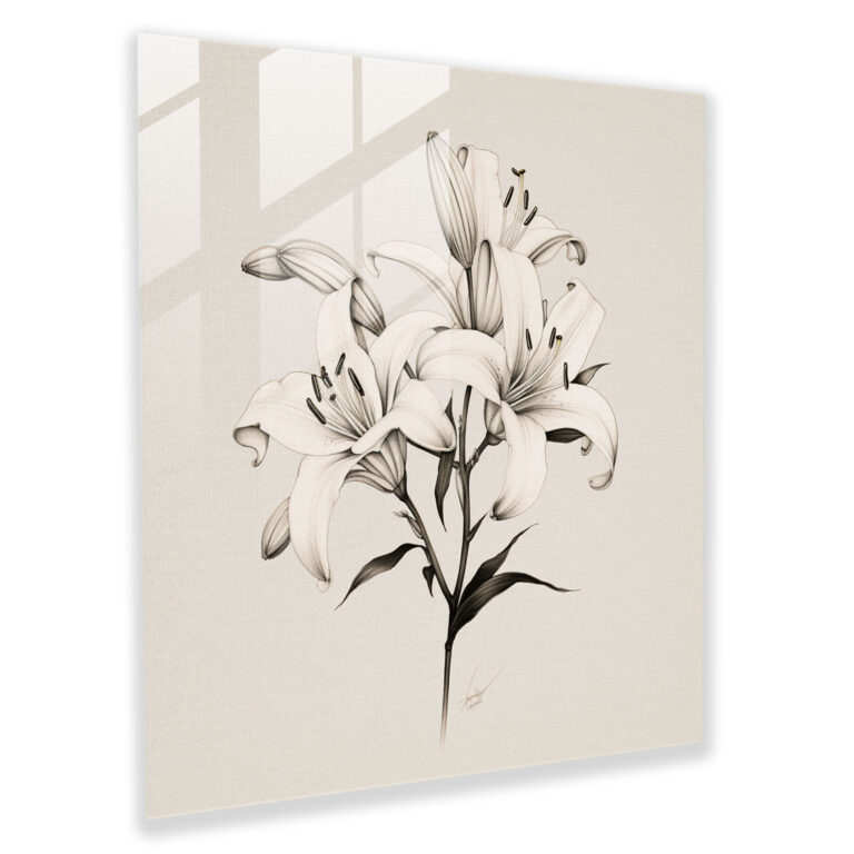 Modern Lilies Glass Print Wall Art - Minimalist Line Drawing with Understated and Delicate Aesthetic - High Quality Glass Printing