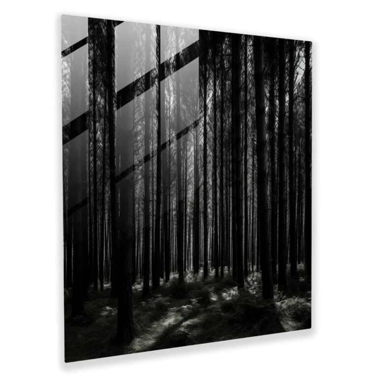 High Contrast Green Pine Glass Print - Green Pine, High Contrast Photograph, Glass Wall Art, Glass Art