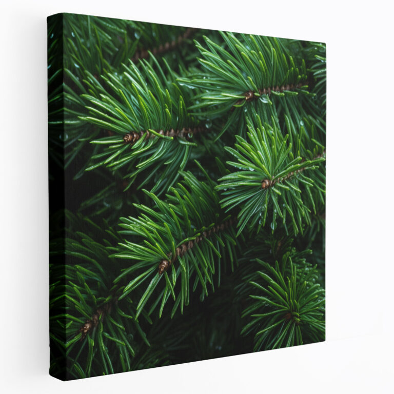 Green Pine Canvas Print - Green Pine, Canvas, Wall Decoration, Canvas Print