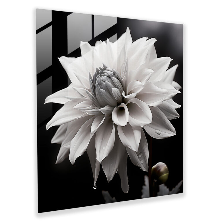 Gray Blooming Beauty Glass Print - Gray, Glass Wall Art, Home Decoration, Nature Photograph
