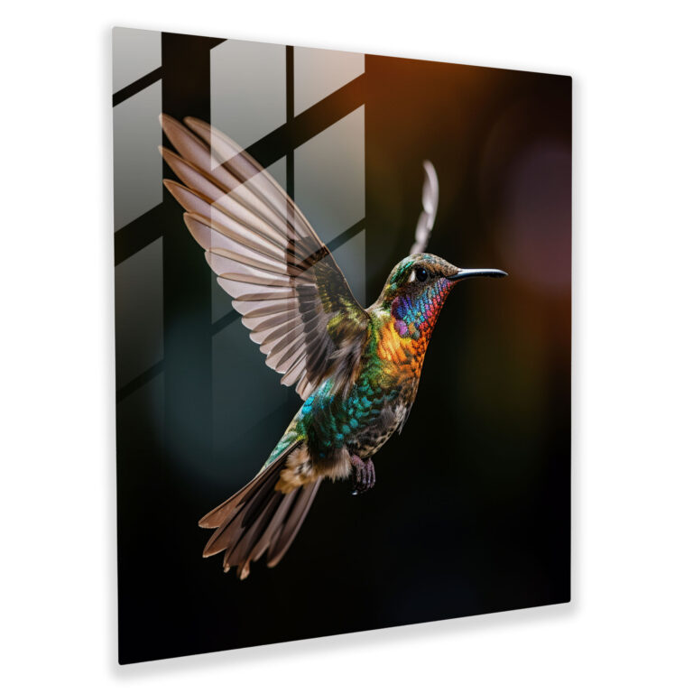 Contemporary Hummingbird Glass Print - Hummingbird, Close-Up Shot, Glass Wall Art, Home Decoration